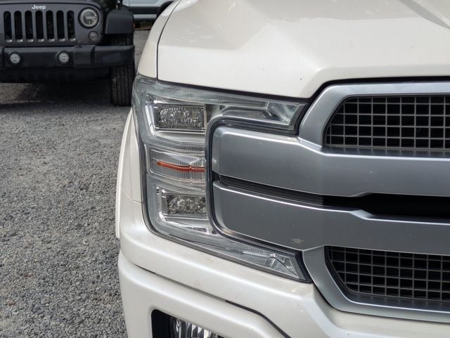 2019 Ford F-150 Platinum